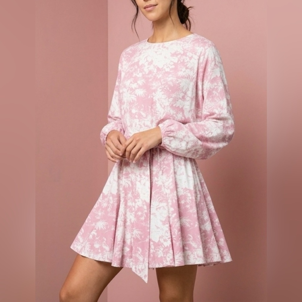 Fun flirty spring toile dress SZ M